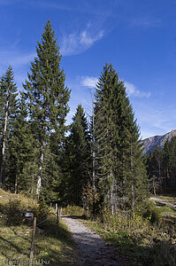 Wanderweg im Schwarzwassertal