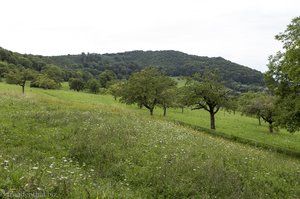 Von Kohlberg hinauf auf den Jusi