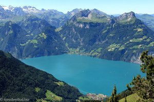 Aussicht über den Urnersee zum Oberbauenstock