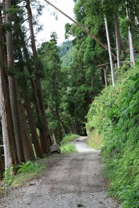 Seerundweg um den Lagoa das Furnas