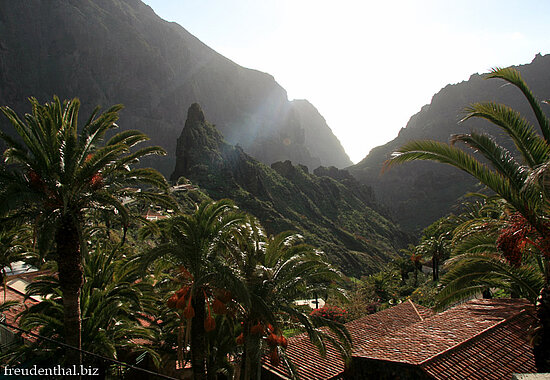 Blick durch die Masca-Schlucht auf Teneriffa