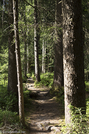 Wanderweg beim Leintobel