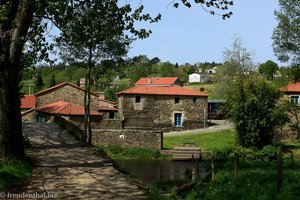 auf dem Camino Francés nach Arzua