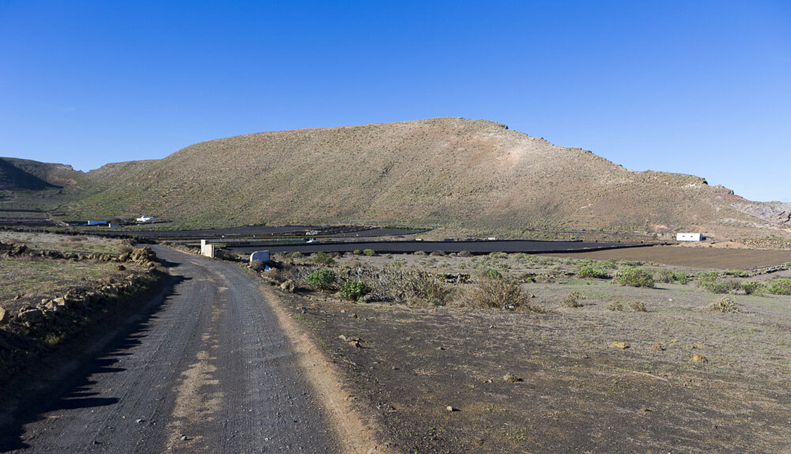 Wirtschaftsstraße zwischen Guinate und den Famara-Klippen auf der Insel Lanzarote