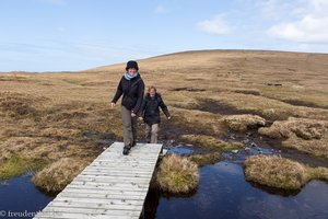 Hermaness auf Unst