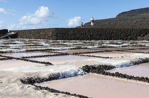 Algen färben das Wasser rosa