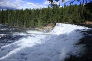 Dawson Falls - Little Niagara Falls