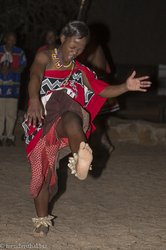 traditioneller Tanz der Swasi beim Mlilwane Wildlife Sanctuary