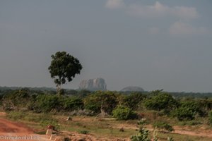 Elefantenfelsen im Nationlpark Yala West