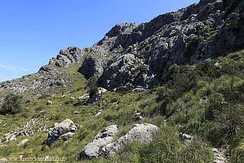 Pfad südlich vom Puig Roig