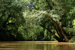 Lemanak River in Sarawak auf Borneo
