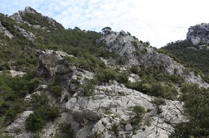 Felsen oberhalb des Torrent des Prat