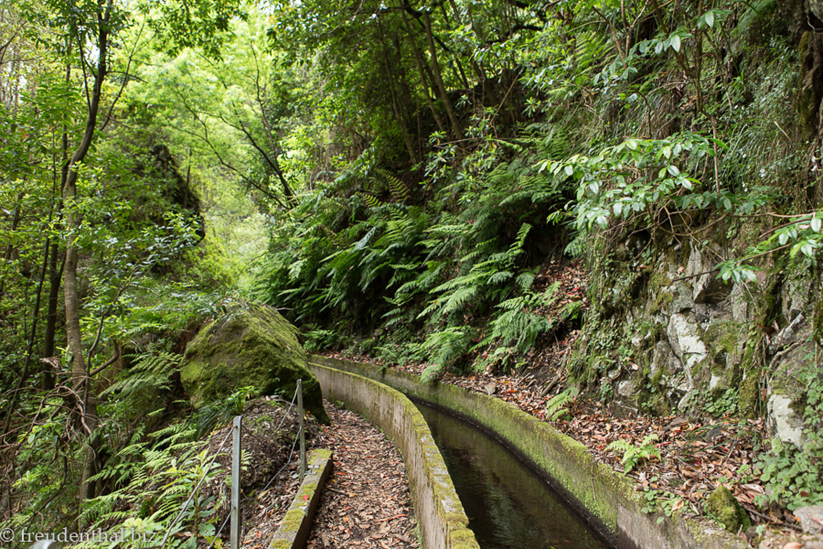 Wanderung entlang der Fajã do Rodrigues auf Madeira