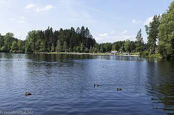 Der Waldsee bei Lindenberg im Allgäu