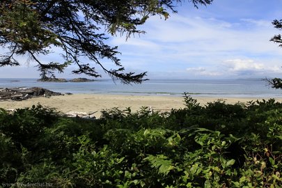 Aussicht beim South Beach Trail - Pacific Rim Nationalpark