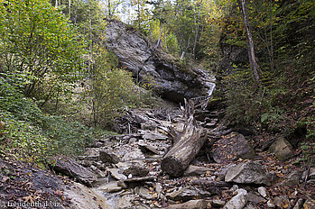 Wild liegt das Sturmholz im Katzenbach