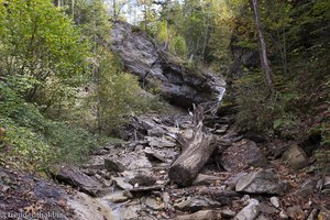 Wild liegt das Sturmholz im Katzenbach