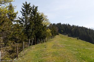 Abstieg von Spicher über Spicher-West nach Neuwald