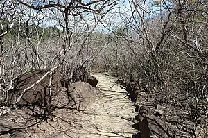 Dürre auf dem Sendero las Pailas