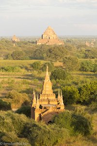 Tempelfeld von Bagan beim Abendlicht