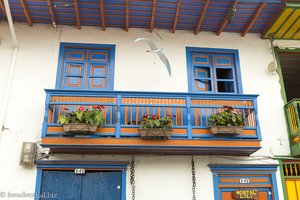 Bunte Fenster und Balkone sind in Salento.