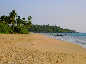 Strand bei der Turtle Hatchery Kosgoda