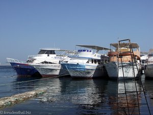 frisch aufpolierte Yachten in Hurghada