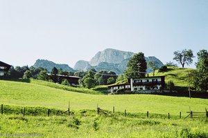 Alm bei Pension Watzmannblick