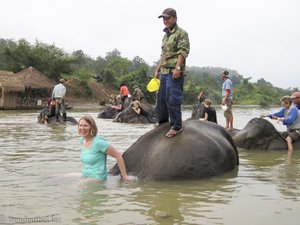 Annettes Elefant taucht ab.