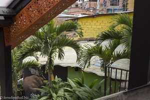 Palmen neben den Rolltreppen der Comuna 13 in Medellín.