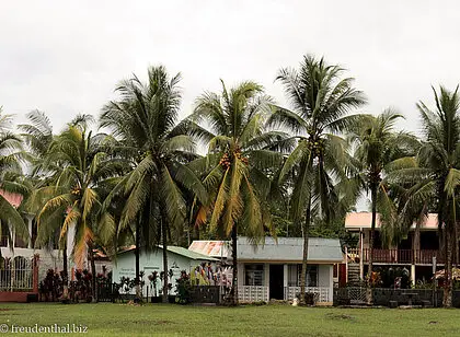 In der Lagune von Tortuguero