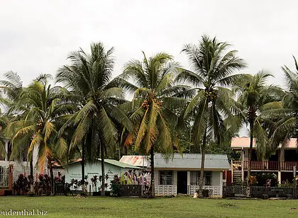In der Lagune von Tortuguero