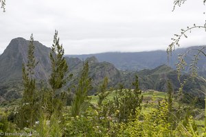 Ausblick auf den Cirque de Salazie