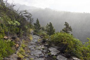 Und ab in den Regen - Camino Real de la Costa