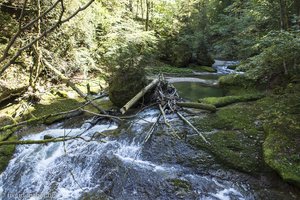 Wildes Wasser in der Eistobelschlucht von Riedholz