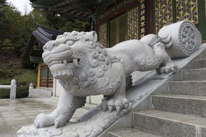 Löwe beim Treppenaufgang im Sajaam Tempel