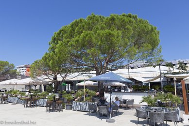 Im Schatten lässt es sich gut aushalten - Portoroz