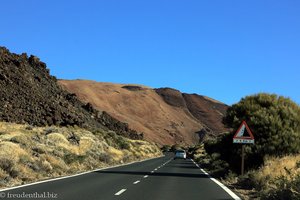 bestens ausgebaute Straße im Teide-Nationalpark