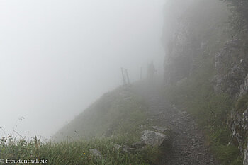 Nebelwanderung