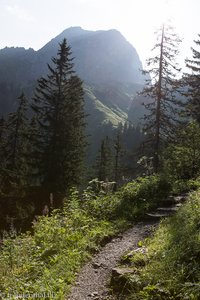 Aufstieg durch dsa Bärgunttal zum Hochalppass