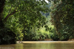 Bootsfahrt durch den Regenwald von Sarawak