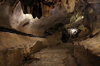 dunkler Gang in der Hang Múa oder Múa-Höhle in der Provinz Ninh Binh