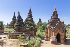 Tempelfeld mit der »leaning Pisa Pagoda« von Bagan