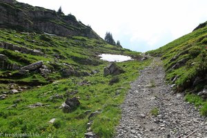 Wanderweg von Alpeli nach Schönenbül