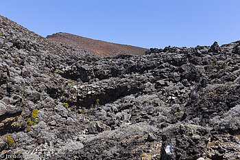 beim Piton des Neiges
