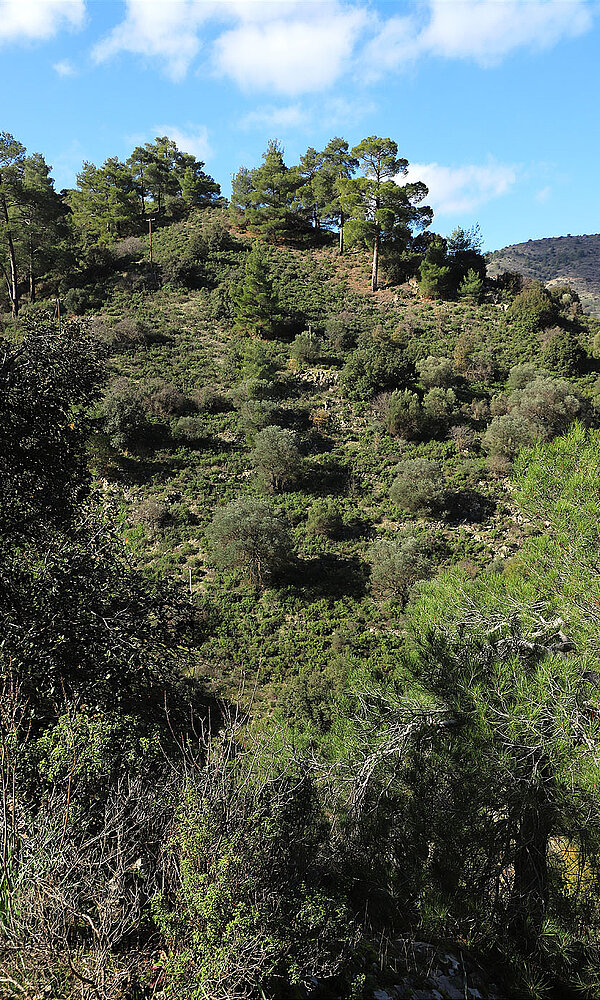 Wanderung auf dem Europäischen Fernwanderweg E4