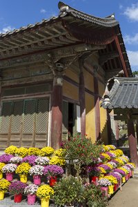 Museoljeon Halle bei Bulguksa