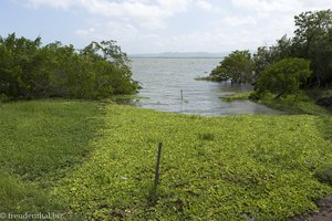 ... dann wäscht man sich den Schlamm in der Lagune wieder ab. - El Totumo