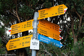Wandermöglichkeiten ab Arvenbüel
