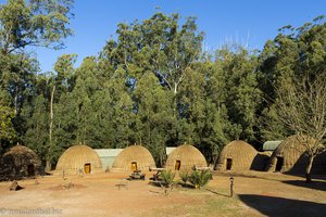 Hintere Gruppe an Beehives des Mlilwane Wildlife Sanctuary